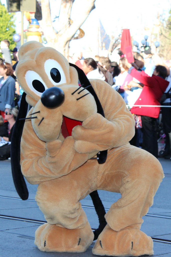 Pluto (1)