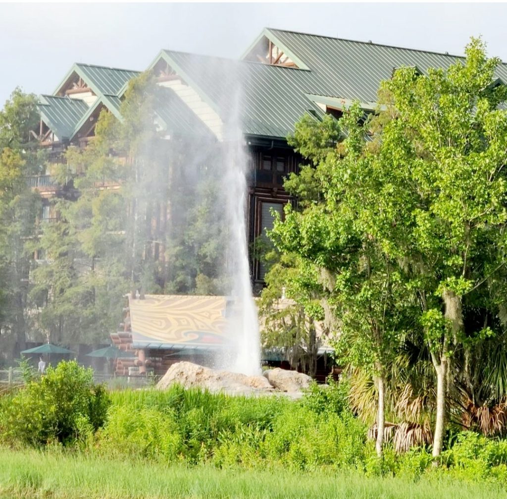 A view of a geyser at Disney's Wilderness Lodge Resort