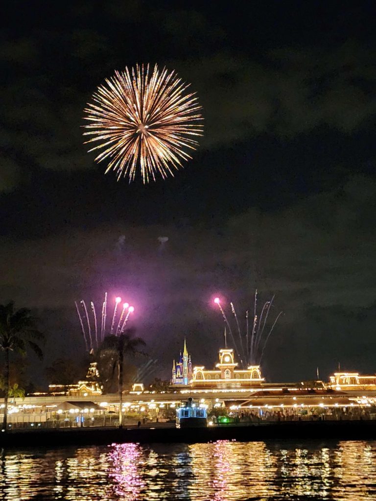 disney fireworks cruise reviews
