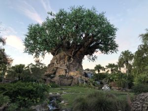 Animal Kingdom Tree of Life