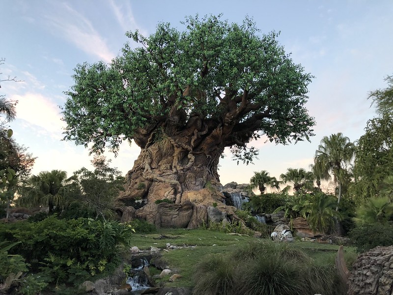 25 Years of Disney’s Animal Kingdom